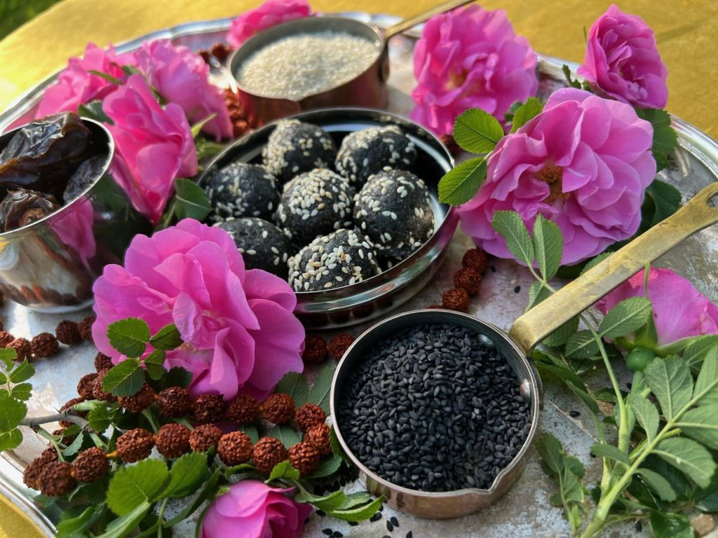 Ojas Balls (Vitality Snacks with Supercharged Herbs)